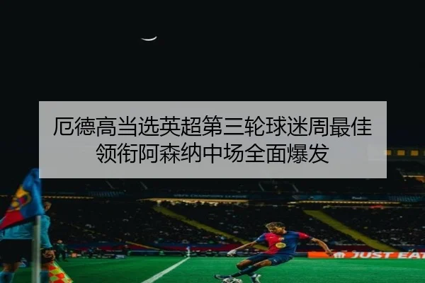厄德高当选英超第三轮球迷周最佳 领衔阿森纳中场全面爆发